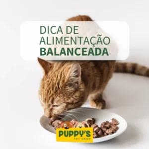 5% DE DESCONTO EM PETISCOS, AREIA PARA GATOS E MEDICAMENTOS.