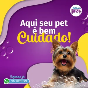 Oficina Pet