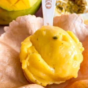 COMBO DE 12 PICOLÉS ARTESANAIS FRUTADOS OU CREMOSOS POR R$ 43,20 (3,60 A UNIDADE).