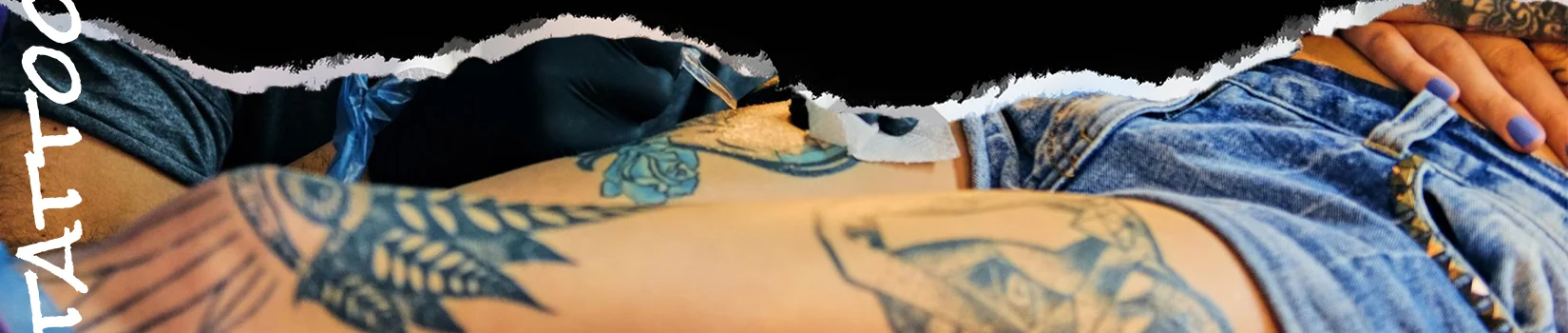 Toca da Raposa Tatuaria
