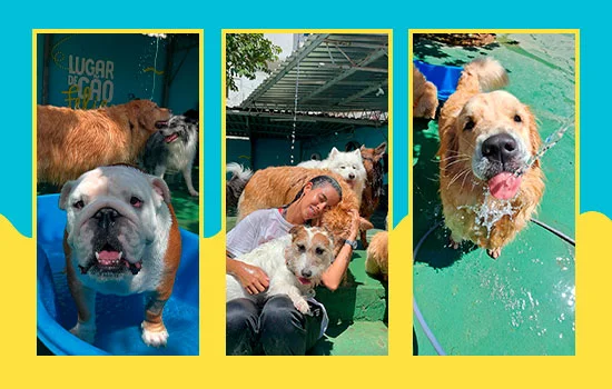 AuAu Creche Canina